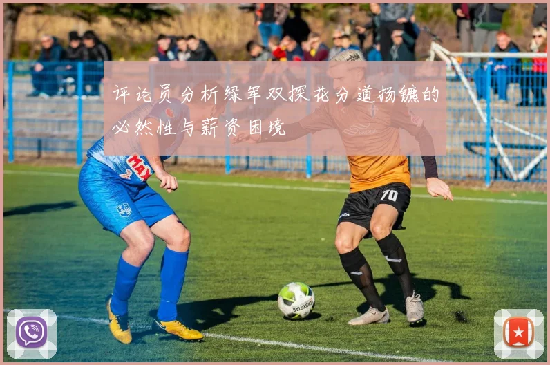 评论员分析绿军双探花分道扬镳的必然性与薪资困境