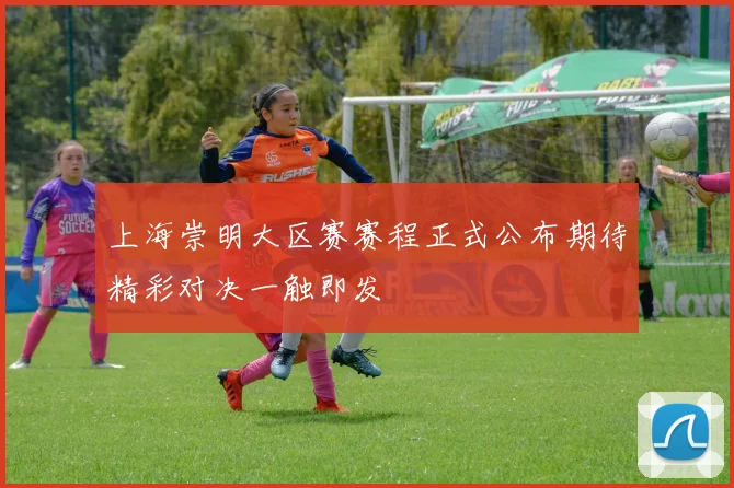 上海崇明大区赛赛程正式公布期待精彩对决一触即发